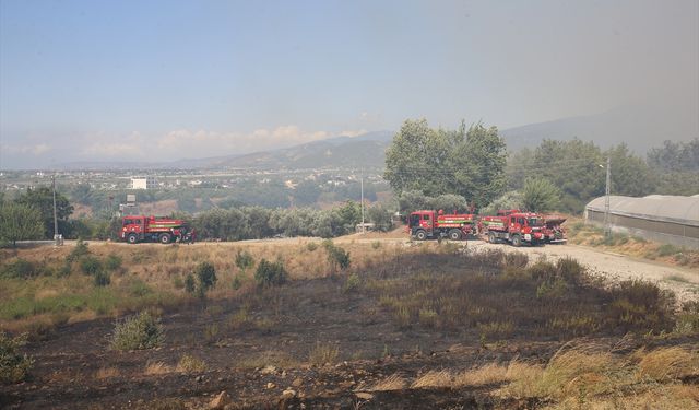 Hatay'da çıkan orman yangına müdahale ediliyor