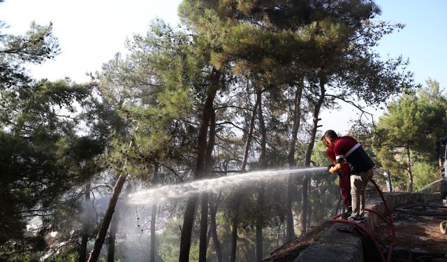 Hatay'da çıkan orman yangını büyümeden söndürüldü