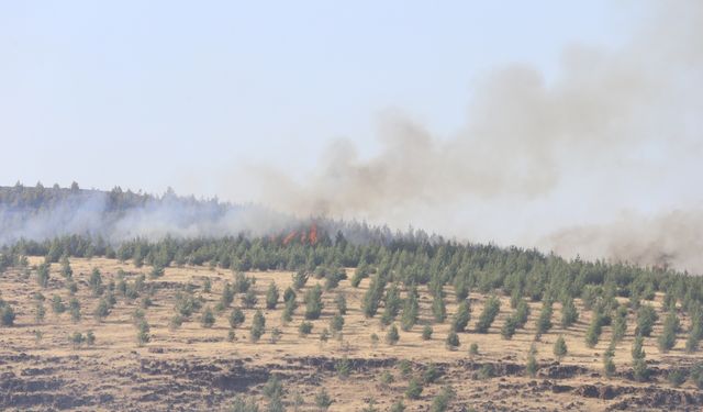 Kahramanmaraş'ta çıkan orman yangını kontrol altına alındı