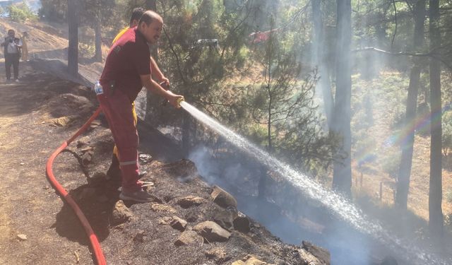 Kahramanmaraş'ta çıkan orman yangınına ekiplerce müdahale ediliyor