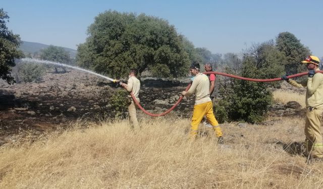 Kahramanmaraş'ta ormanlık alanda çıkan yangın söndürüldü