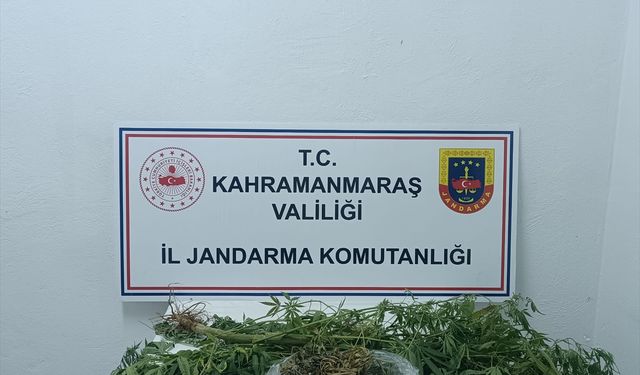 Kahramanmaraş'ta uyuşturucu operasyonunda bir kişi gözaltına alındı