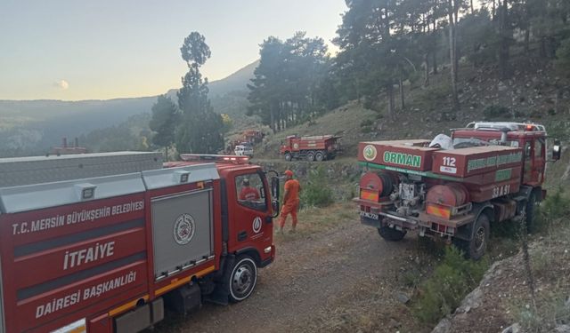 Mersin'de ormanlık alanda çıkan yangın söndürüldü