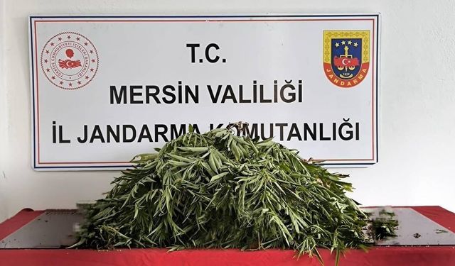 Mersin'de uyuşturucu operasyonunda yakalanan 2 zanlı tutuklandı