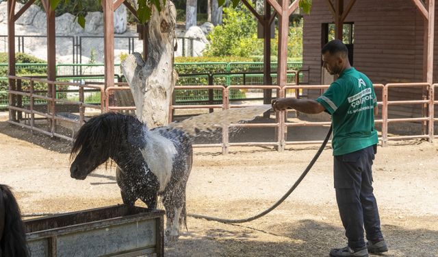 Tarsus Doğa Parkı'nda hayvanlar buz kokteyli ve yağmurlama sistemiyle ferahlıyor