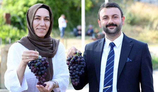 Akdeniz Belediyesi’nden Esenli Üzüm Şenliği’ne davet