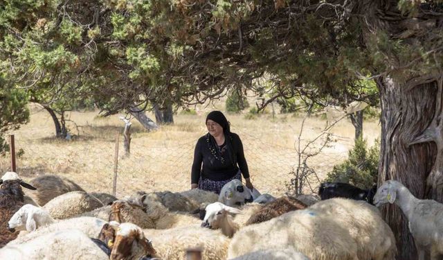 ’Hadi Gel Köyümüze Destek Vereli’ projesi 5. yılında