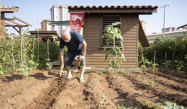 Hobi Parkı, Mersinlilerin uğrak yeri oldu