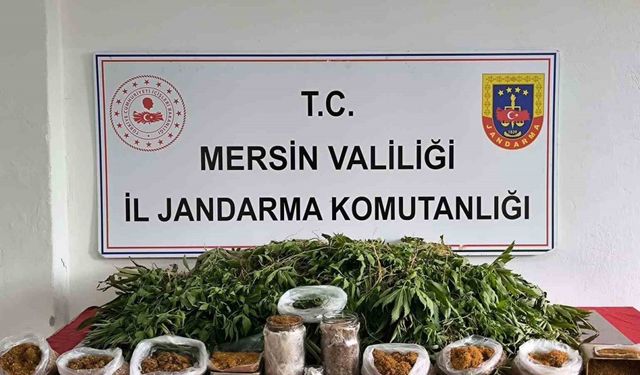 Mersin’de uyuşturucu operasyonu: 1 gözaltı