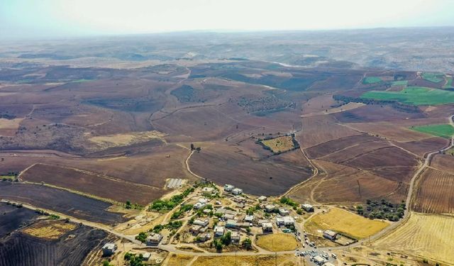 Diyarbakır ve Mardin'deki yangınlardan etkilenen mahalleler afet bölgesi ilan edildi