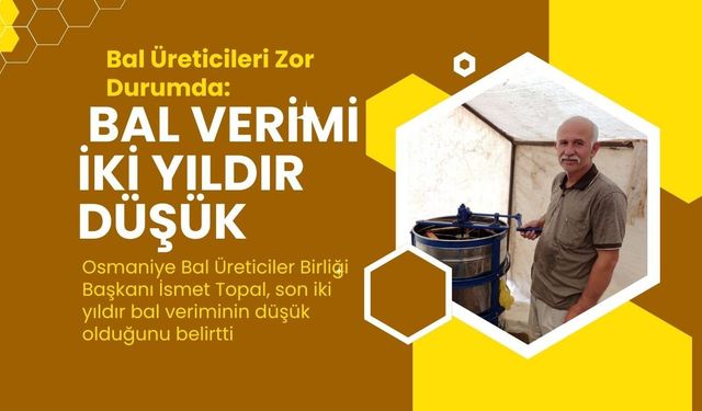 Bal Üreticileri Zor Durumda: Bal Verimi 2 Yıldır Düşük