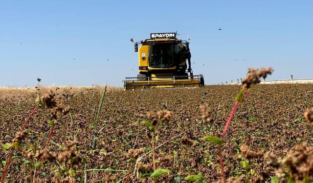 Çiftçilere tarımsal destekleme ödemesi yapılacak