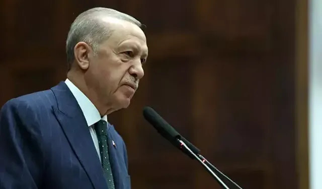 Erdoğan'dan Sokak Hayvanları Yasası Açıklaması: Asla taviz yok