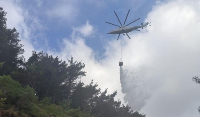 Hatay'da orman yangını