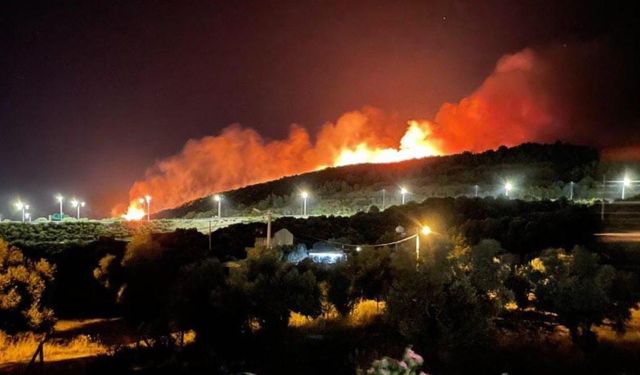 İzmir'de orman yangını