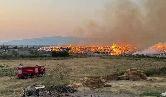 Aydın'daki kağıt fabrikasında çıkan yangına müdahale sürüyor