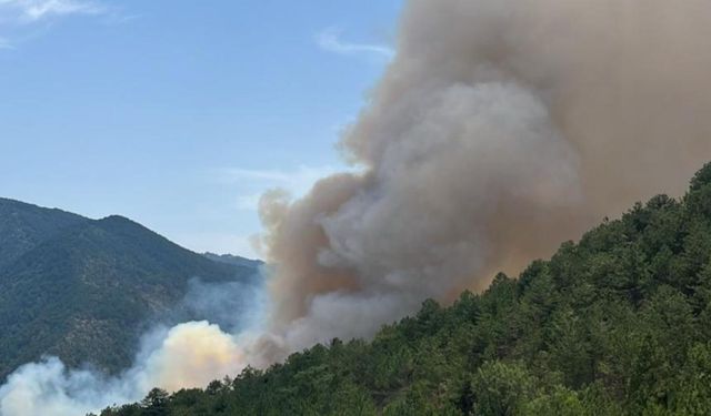 Karabük'te çıkan orman yangınına müdahale ediliyor