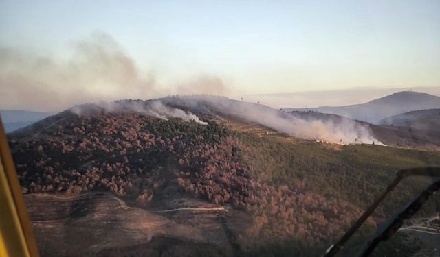 Manisa'da orman yangınına müdahale sürüyor