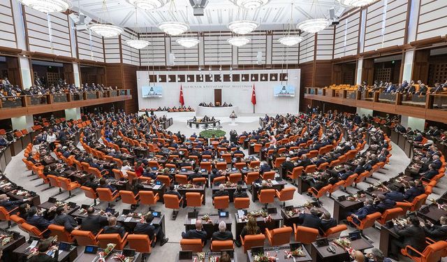 Sahipsiz hayvanlara yönelik kanun teklifi bugün komisyonda görüşülecek