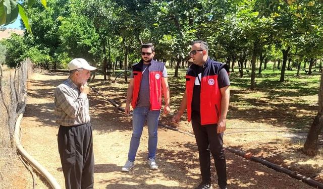 Kahramanmaraş'ta feromon tuzak kontrolleri devam ediyor