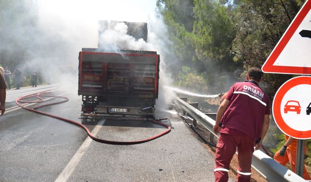 Antalya'da briket yüklü tırın dorsesi alev aldı