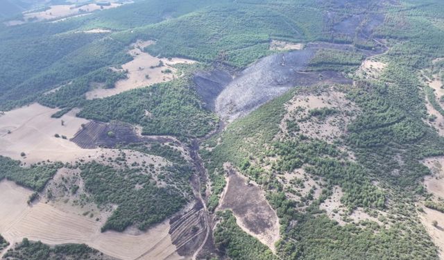 Tokat'ta ormanlık alanda çıkan yangın söndürüldü