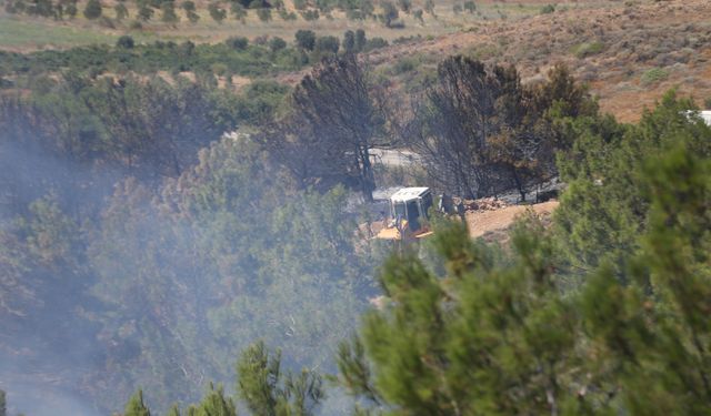 Bozcaada'da yangın ormana sıçradı: Müdahale ediliyor