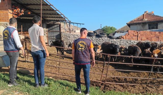 Afyonkarahisar'da hayvan hırsızlığı yaptığı iddia edilen zanlı Isparta'da tutuklandı