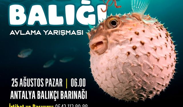 Antalya'da balon balığı yarışması düzenlenecek