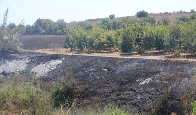 Antalya'da sazlık alanda çıkıp tarım arazisine sıçrayan yangın söndürüldü