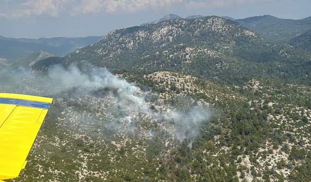 Burdur'da çıkan orman yangını söndürüldü