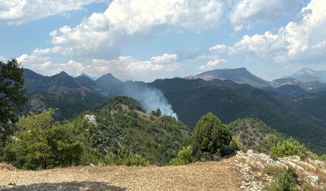 Feke'de ormanlık alanlarda çıkan yangınlar söndürüldü