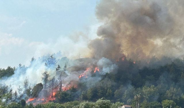 Antalya'nın Aksu ilçesinde çıkan orman yangını kontrol altına alındı