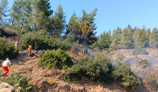 Hatay'da çıkan orman yangını kontrol altına alındı