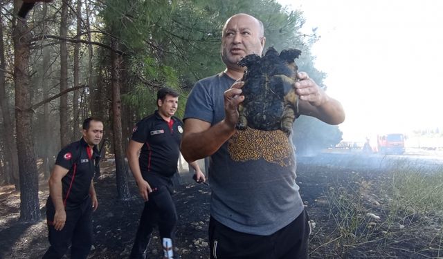 Kahramanmaraş'ta çıkan orman yangınına ekiplerce müdahale ediliyor