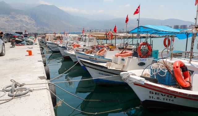 Hatay Valisi Mustafa Masatlı, İskenderun Balıkçı Barınağı'nda incelemelerde bulundu