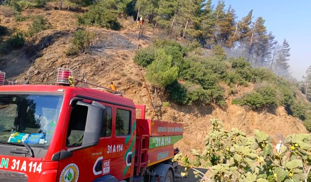 Hatay'da çıkan orman yangına müdahale ediliyor