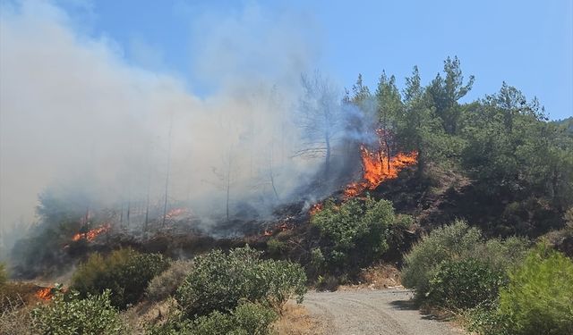 Hatay'da çıkan orman yangınına müdahale ediliyor