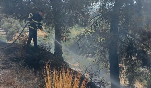 Hatay'da ormanlık ve otluk alanlarda çıkan yangınlar söndürüldü