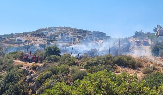 Kaş'ta makilik alanda çıkan yangın kontrol altına alındı