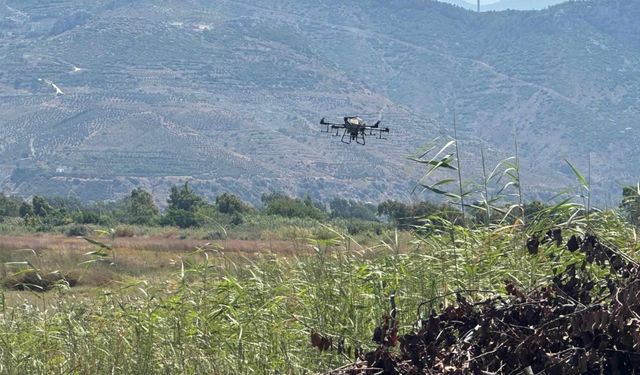 Samandağ'da haşereyle mücadele kapsamında dronla ilaçlama yapıldı