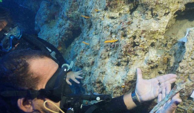 Akdeniz’in derinliklerinde Girit-Minos Uygarlığına ait 3 bin 600 yıllık hançer bulundu