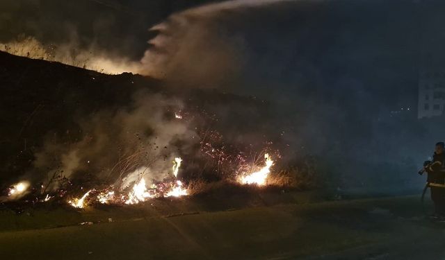 Antakya’da çıkan tarla yangını itfaiye tarafından söndürüldü