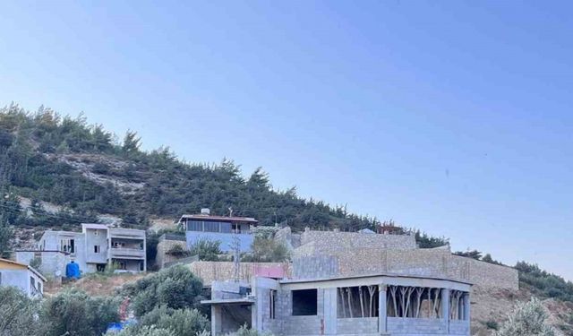 Antakya’da zeytinlik alanda çıkan yangın büyümeden söndürüldü