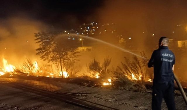 Asi nehri kenarında çıkan yangın söndürüldü