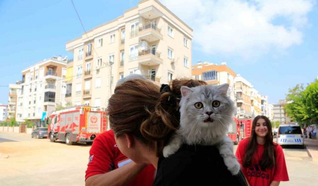 Elektrik tesisatından gelen sesle binayı boşalttı, kısa süre sonra binayı dumanlar kapladı