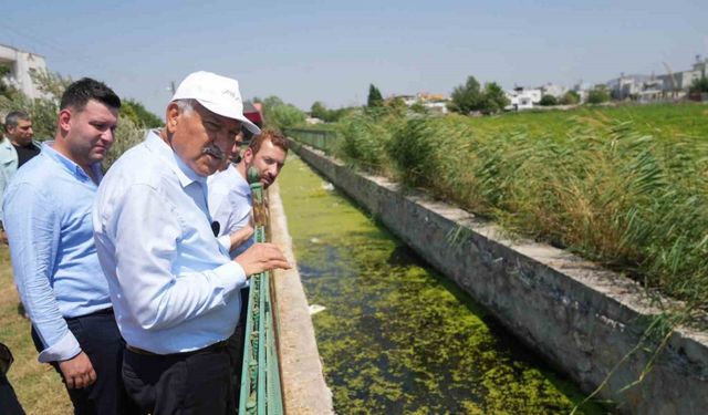 Karalar, hemşehrilerine sivrisinekle topyekun mücadele çağrısı yaptı