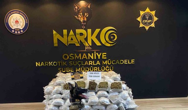 Osmaniye’de durdurulan tırda 166 kilo 700 gram skunk ele geçirildi