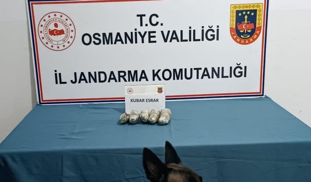 Osmaniye’de jandarmadan tarihi eser ve uyuşturucu operasyonu