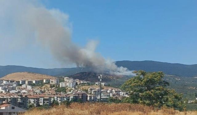 Balıkesir'de orman yangını